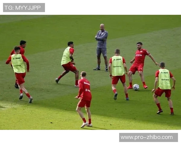 深入解析7v7足球战术的核心要素与实战应用技巧