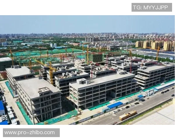 潍坊青年足球崛起之路培养未来明星球员助力中国足球发展新篇章