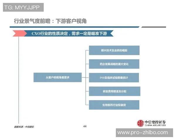 石家庄T8足球俱乐部的崛起与发展探讨及其对地方体育的影响