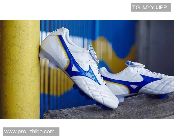 经典款足球鞋的魅力与性能解析让你在球场上尽显风采 经典款足球鞋的魅力与性能解析让你在球场上尽显风采