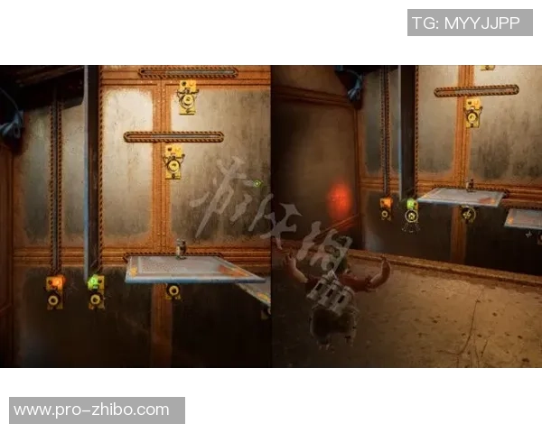 虹口足球场退标书的相关政策与流程解析