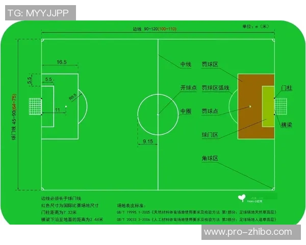 足球场地的标准长度与宽度解析及其对比赛的影响探讨